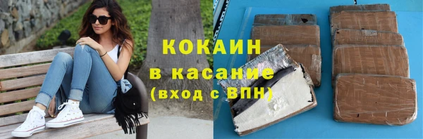 индика Елизово