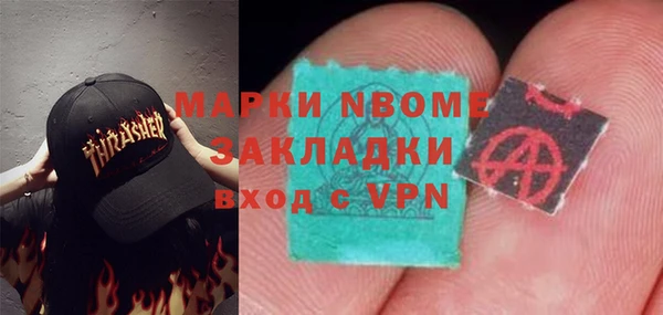 индика Елизово
