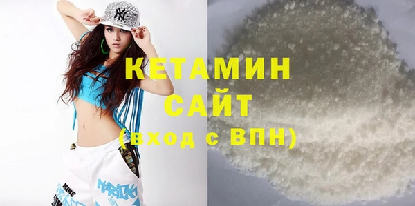 индика Елизово