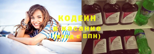 дмт Ельня