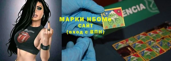 дмт Ельня