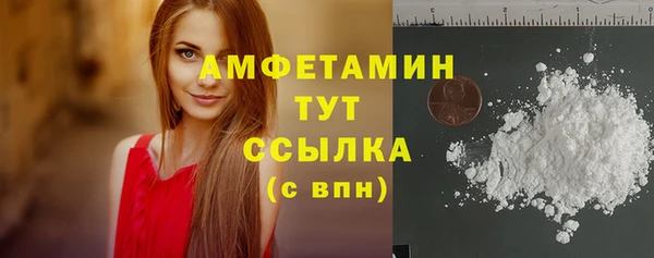 дмт Ельня
