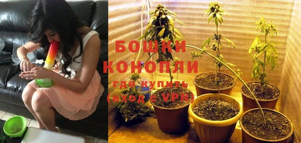 индика Елизово