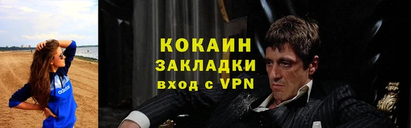 PSILOCYBIN Дмитриев