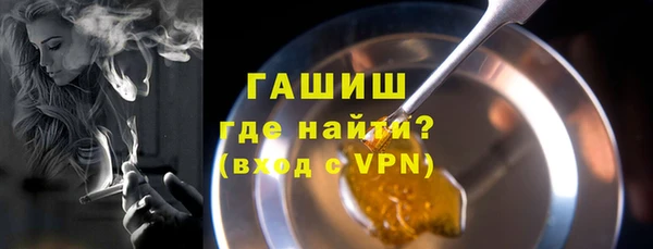 дмт Ельня