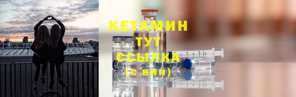индика Елизово