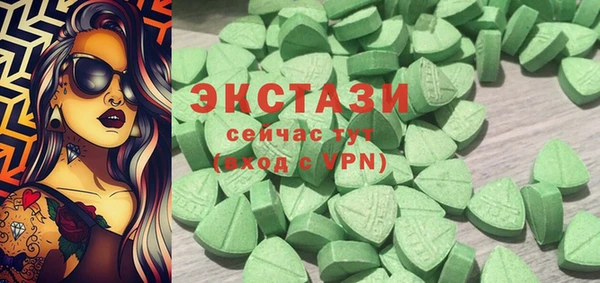 индика Елизово