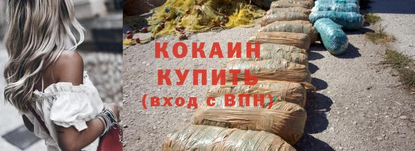 индика Елизово