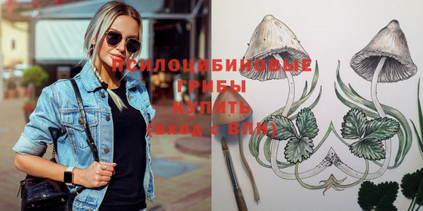 индика Елизово