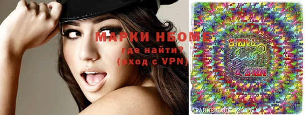 индика Елизово