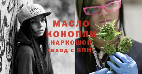 индика Елизово