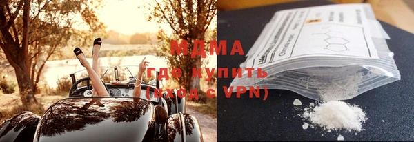индика Елизово