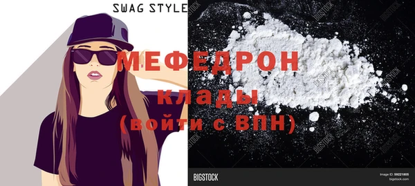 индика Елизово