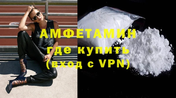 дмт Ельня