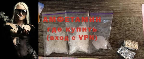 индика Елизово