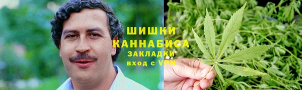 дмт Ельня