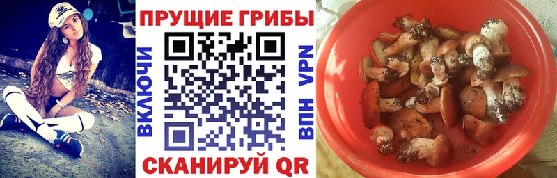 Псилоцибиновые грибы прущие грибы площадка наркотические препараты Порхов